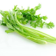 Lowest Price Export Natural Organic Chinese High Quality Fresh Green Celery